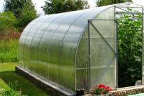 Winter greenhouse as a business: how to start a business from scratch How to make a greenhouse business