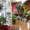 Profitable flower shop - business idea