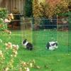 Uzgoj zečeva u ograđenim prostorima: prednosti i nedostaci Uzgoj zečeva u ograđenom prostoru